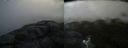 ./images/calvert/buxton2/20180613/buxton220180613_080459M.jpg