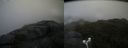 ./images/calvert/buxton2/20180613/buxton220180613_094959M.jpg