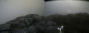 ./images/calvert/buxton2/20180613/buxton220180613_100459M.jpg
