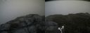 ./images/calvert/buxton2/20180613/buxton220180613_115959M.jpg