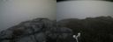 ./images/calvert/buxton2/20180613/buxton220180613_120459M.jpg