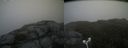./images/calvert/buxton2/20180613/buxton220180613_123459M.jpg
