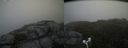 ./images/calvert/buxton2/20180613/buxton220180613_123959M.jpg