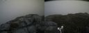 ./images/calvert/buxton2/20180613/buxton220180613_124459M.jpg
