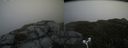 ./images/calvert/buxton2/20180613/buxton220180613_124959M.jpg