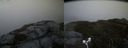 ./images/calvert/buxton2/20180613/buxton220180613_211459M.jpg