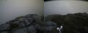 ./images/calvert/buxton2/20180613/buxton220180613_212959M.jpg