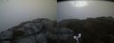 ./images/calvert/buxton2/20180613/buxton220180613_214459M.jpg