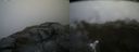 ./images/calvert/buxton2/20180614/buxton220180614_071459M.jpg