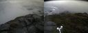 ./images/calvert/buxton2/20180614/buxton220180614_091459M.jpg