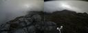 ./images/calvert/buxton2/20180614/buxton220180614_102459M.jpg
