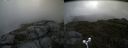 ./images/calvert/buxton2/20180614/buxton220180614_130959M.jpg