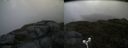 ./images/calvert/buxton2/20180614/buxton220180614_131459M.jpg
