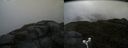 ./images/calvert/buxton2/20180614/buxton220180614_134459M.jpg