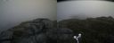 ./images/calvert/buxton2/20180614/buxton220180614_160459M.jpg