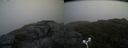./images/calvert/buxton2/20180614/buxton220180614_160959M.jpg