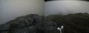 ./images/calvert/buxton2/20180614/buxton220180614_161959M.jpg