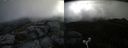 ./images/calvert/buxton2/20180615/buxton220180615_083459M.jpg