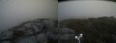 ./images/calvert/buxton2/20180615/buxton220180615_094959M.jpg