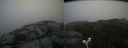 ./images/calvert/buxton2/20180615/buxton220180615_103959M.jpg
