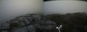 ./images/calvert/buxton2/20180615/buxton220180615_105959M.jpg