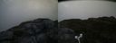 ./images/calvert/buxton2/20180622/buxton220180622_071958M.jpg
