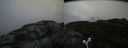 ./images/calvert/buxton2/20180622/buxton220180622_072958M.jpg