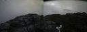 ./images/calvert/buxton2/20180622/buxton220180622_074958M.jpg