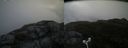 ./images/calvert/buxton2/20180622/buxton220180622_075458M.jpg
