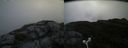 ./images/calvert/buxton2/20180622/buxton220180622_081958M.jpg
