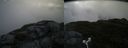 ./images/calvert/buxton2/20180622/buxton220180622_082458M.jpg