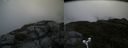 ./images/calvert/buxton2/20180622/buxton220180622_082958M.jpg