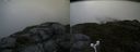 ./images/calvert/buxton2/20180622/buxton220180622_084458M.jpg