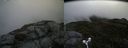 ./images/calvert/buxton2/20180622/buxton220180622_085459M.jpg