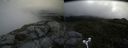 ./images/calvert/buxton2/20180622/buxton220180622_093459M.jpg
