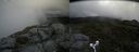 ./images/calvert/buxton2/20180622/buxton220180622_094958M.jpg