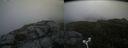 ./images/calvert/buxton2/20180622/buxton220180622_110459M.jpg