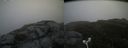 ./images/calvert/buxton2/20180622/buxton220180622_111459M.jpg