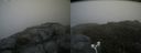 ./images/calvert/buxton2/20180622/buxton220180622_125958M.jpg
