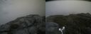 ./images/calvert/buxton2/20180622/buxton220180622_134958M.jpg