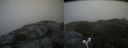 ./images/calvert/buxton2/20180622/buxton220180622_135459M.jpg