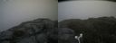 ./images/calvert/buxton2/20180622/buxton220180622_135958M.jpg