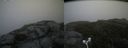 ./images/calvert/buxton2/20180622/buxton220180622_140958M.jpg