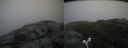 ./images/calvert/buxton2/20180622/buxton220180622_141959M.jpg