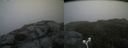 ./images/calvert/buxton2/20180622/buxton220180622_143958M.jpg