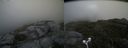 ./images/calvert/buxton2/20180622/buxton220180622_163459M.jpg