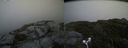 ./images/calvert/buxton2/20180622/buxton220180622_163958M.jpg