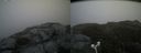./images/calvert/buxton2/20180622/buxton220180622_165458M.jpg