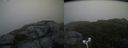 ./images/calvert/buxton2/20180623/buxton220180623_063958M.jpg