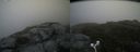 ./images/calvert/buxton2/20180623/buxton220180623_081958M.jpg